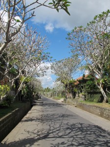 the wisteria lane of ubud ? "frangipani" lane
