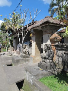 ubud 2