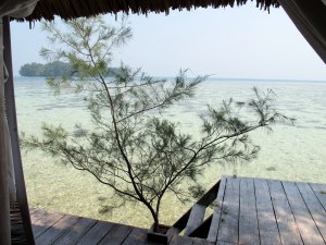 pulau macan 11