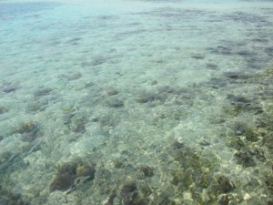 super clear water!! just two hour away from that sewage soup by jakarta