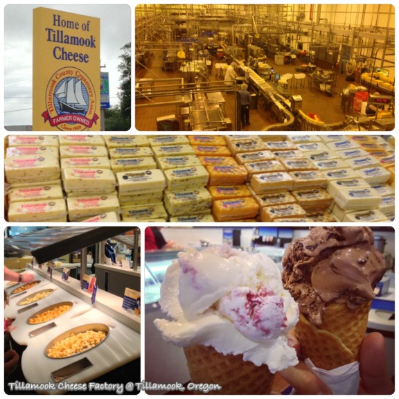 portland-tillamook cheese