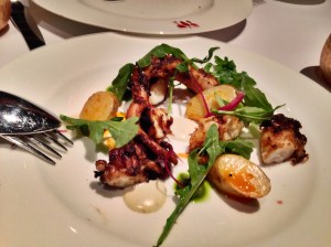 bottega-octopus